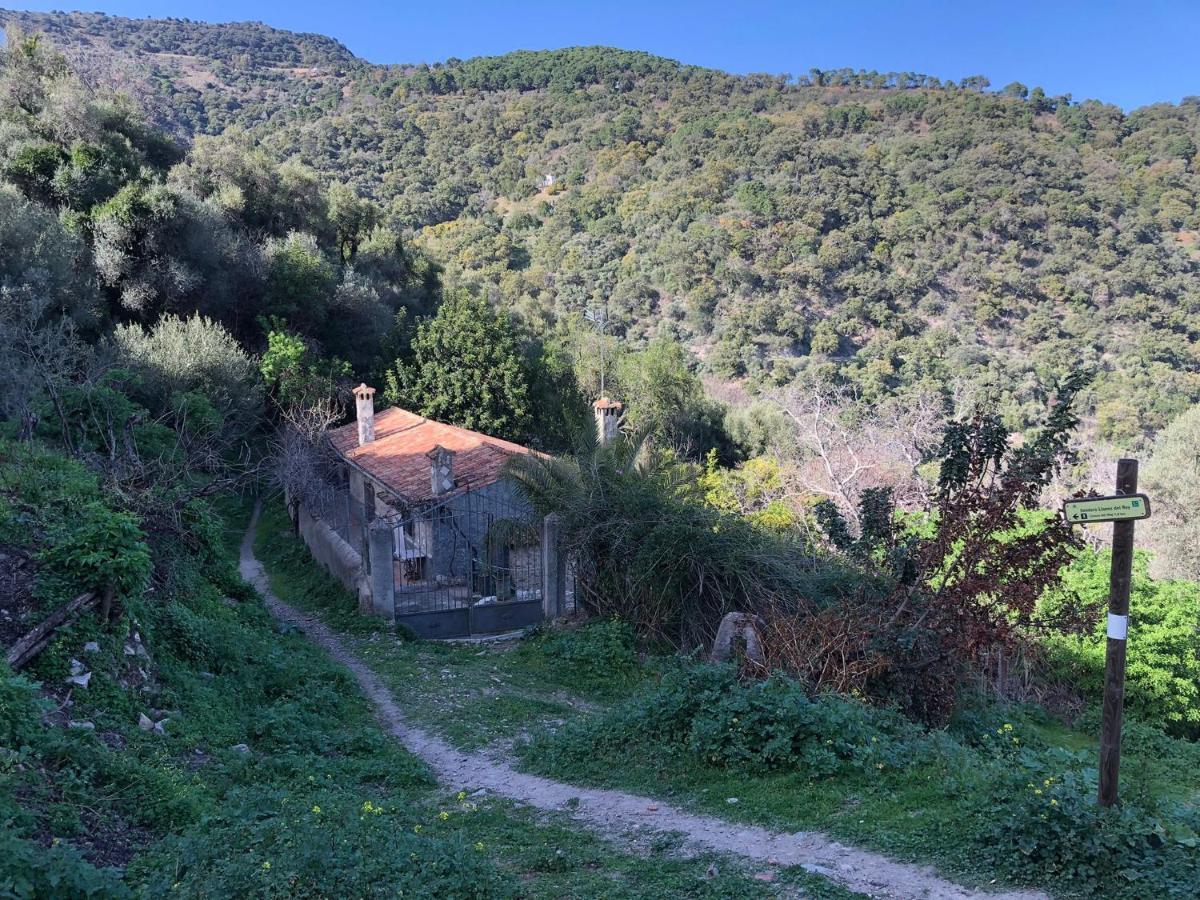 Molino De Santos Villa Benarrabá Exteriör bild