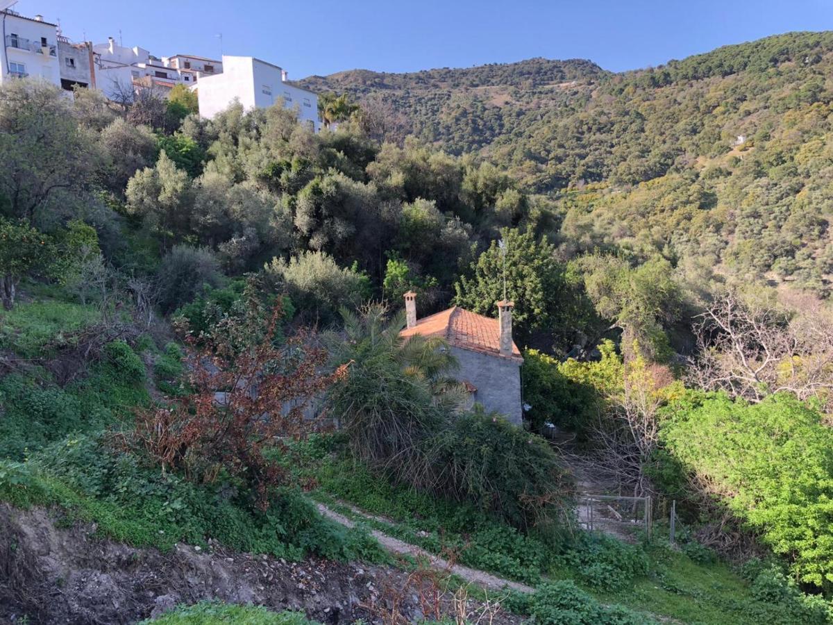 Molino De Santos Villa Benarrabá Exteriör bild