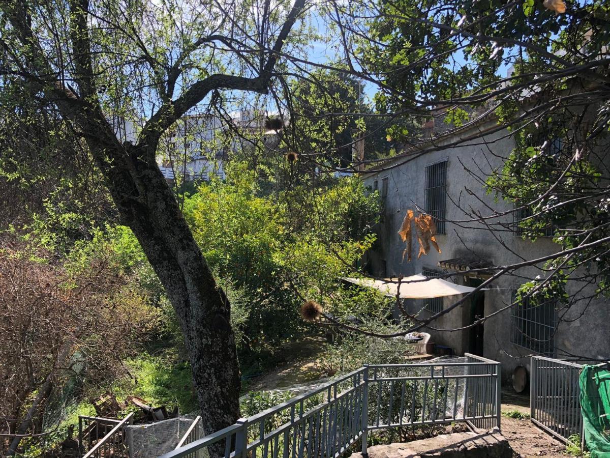 Molino De Santos Villa Benarrabá Exteriör bild